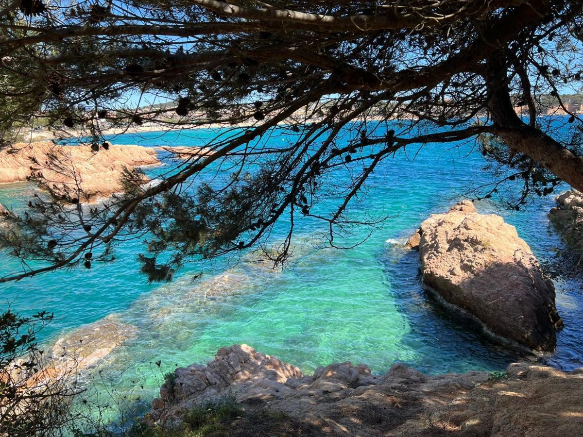 Family Homefromhomees Sant Feliu de Guíxols Dış mekan fotoğraf