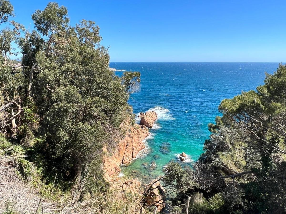 Family Homefromhomees Sant Feliu de Guíxols Dış mekan fotoğraf